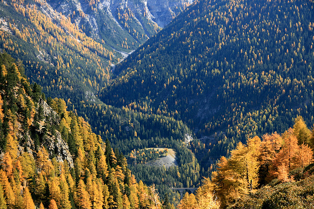 Herbst in Oberengadin: wunderschön!