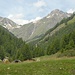 Blick vom Bergbeizli in Griosch ins Val Chöglias