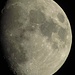 Der Mond um 21.50 zu Hause. Ganz schön hell, aber er geht heute wieder früh unter und wir brauchen doch die Stirnlampe.