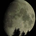 Um 0.21 versank der Mond schon langsam hinter den Bäumen. Ein Bild, das genau zu Ivo`s dazu passt [http://www.hikr.org/gallery/photo820839.html?photo_order=photo_hot]<br />Sorry, war Zufall und keine Absicht, fast das gleiche zu machen! Einfaches "Nachmachen" find ich doch gar nicht so "kreativ":-(