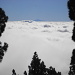 Der Teide taucht aus dem Nebelmeer auf (höchster Berg Spaniens mit 3718 m - gelegen auf der Insel Teneriffa)