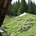 Hier befindet sich der Einstieg zum nichtmarkierten Pfad, am Waldrand über der oberen der beiden Hütten, die ca. 1550 m hoch liegen, ein Stück unterhalb des Alpetli (1626 m)