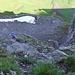 Kettenabschnitt im Aufstieg auf den Forstberg von Westen. 