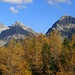 Herbststimmung pur! Farbige Wälder mit Tiejer Flue, Furggahorn und Schiesshorn im Hintergrund.(v.l.)