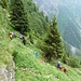 steiler Abstieg nach Dangio