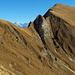 Gemschgrätli am Widdergalm, hinten Jungfrau, Gletscherhorn und Ebnefluh