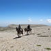 Nicht nur zu Fuß, auch zu Pferde wird der Monte Amaro erreicht. Mein Angebot, ihnen ihre Vierbeiner hinunterzureiten, lehnen die beiden leider ab.