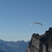 Paraglider touchiert den Nägeliberg