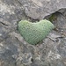 Herz im Fels