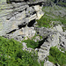 Corte di Fuori dell'Alpe di Camedo