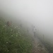 Überraschende Hindernisse im Nebel
