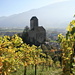 Schloss Sargans and its vineyards