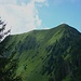 Blick vom Guberentossen zum Gipfelkreuz des Buochserhorn