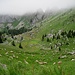 eine riesige Schafherde auf Montagne d'Amont