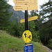 <b>Spesso il sentiero per gli escursionisti è condiviso dagli utenti del rampichino.</b>