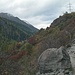Herbstlicher Hang unterhalb von Ardez