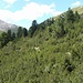 Wegloses Geläde oberhalb Zondra da Tamangur
