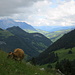 Alpidylle am Jöggelisberg 
