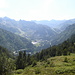 1333 oberhalb dem Castellar-Wald, Alpenrosenfelder, hinten Skistation Arcalís, unterer Teil