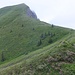 Eine Schafspur führt oben zur Ganthöchi und dem unteren Teil des Grasgrat entlang. 