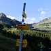 Dall' Alpe di Rogg si scende ancora, fino a Q1750.
Siamo sotto la Gana Rossa, una palina indica la direzione per la Bocchetta di Valstorna e Camedo