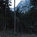Im Wald oberhalb von Puitbach