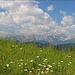 Sommer in den Dolomiten