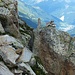 Abstieg von der Alpe Nuova zur Cap. Piansecco: durch diese Lücke musst du gehn.