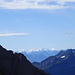 Vom Grauchopf schweift der Blick nach Süden zur Alvierkette. In der Ferne leuchten weiss die Gipfel der Bernina