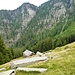 Alpe In di Ari - im Hintergrund die bewaldete Rippe, unser Aufstieg von heute morgen