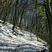Winterlicher Wanderweg zum Räckholterenbuck.