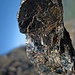 Dunkles, glitzerndes Gestein ist ein häufiger Blickfang in den Ötztaler Alpen.