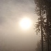Einfach unbeschreiblich schön - die Sonne taucht langsam durch den Nebel