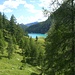 Riappare il bellissimo Lago Alpe dei Cavalli