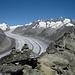 Alpine Route am Aletsch