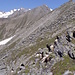 Schwarzhals-Geissen im Grat  nach Norden, 2910 m