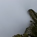 Nebel wabert aus dem Rheintal empor