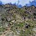 Domhüttenweg bei ca. 2500m