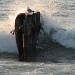 Gull in crashing wave on Lake Superior