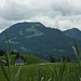 Blick vom Gesundhotel Bad Reuthe zum Hirschberg