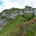 Blick von Norden auf den Hirschberg-Gipfel