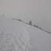 Abstieg über das Gipfelschneefeld am Lagginhorn