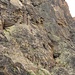 Kletterer in der Südwand des Jegihorns