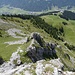Dreiseilbrücke des leichten Klettersteiges am Brunnistöckli