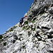 Abstieg über die steile Südflanke der Braunarlspitze