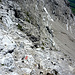 Abstieg über die steile Südflanke der Braunarlspitze....imer den Punkten nach.