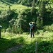 Der Wald kommt zurück