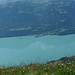 Iseltwald mit der kleinen Insel