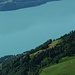 Brienzersee