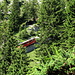 die Pilatusbahn schafft die Touristen nach oben - Schwerstarbeit